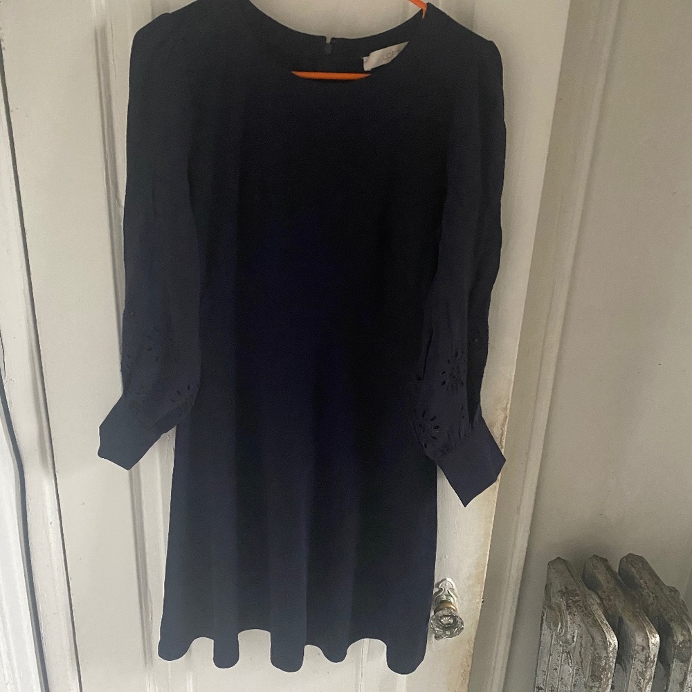 Loft Navy Dress